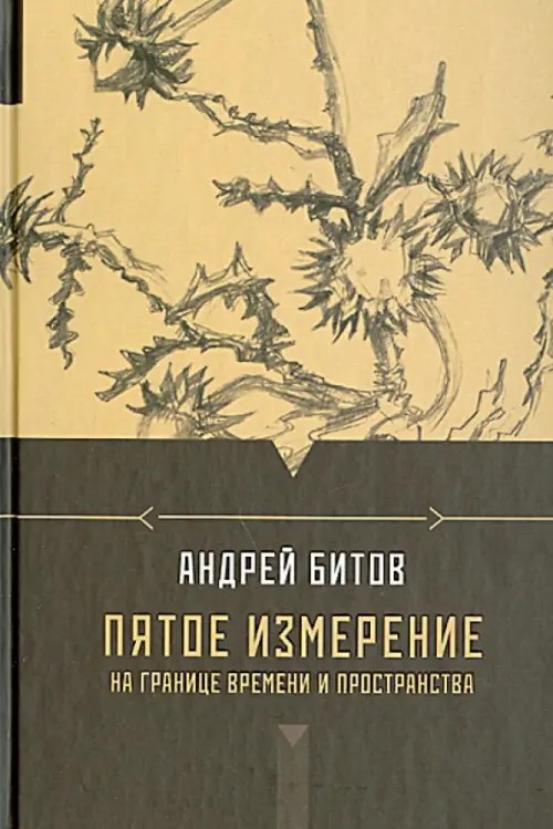 Пятое измерение: На границе времени и пространства