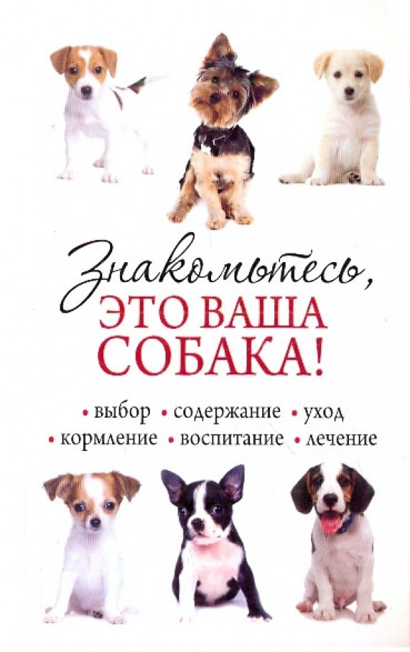 Знакомьтесь, это ваша собака!