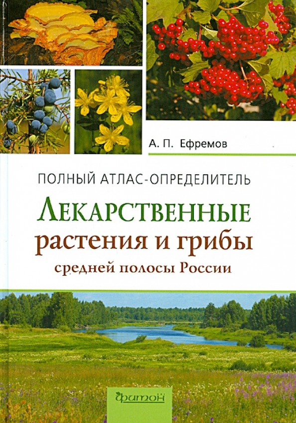 Лекарственные растения и грибы средней полосы России