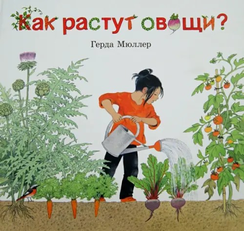 Как растут овощи?