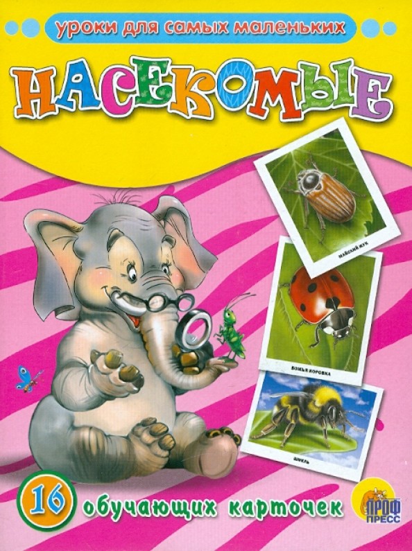 Обучающие карточки «Насекомые»