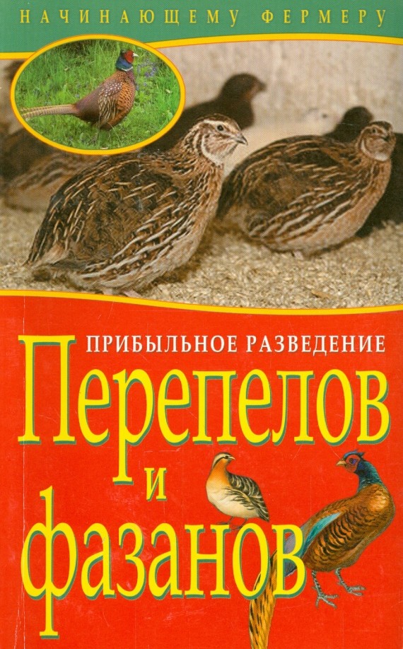 Прибыльное разведение перепелов и фазанов