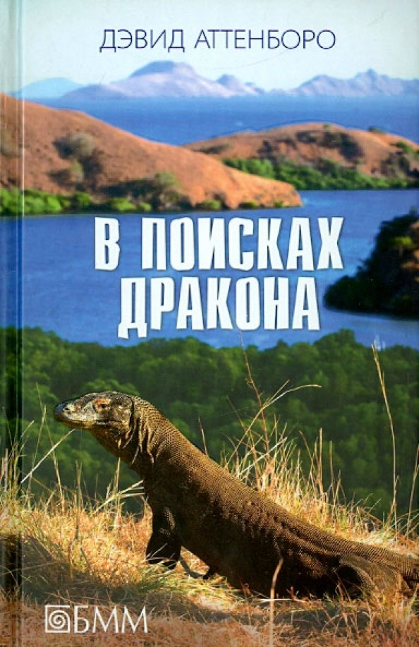 В поисках дракона